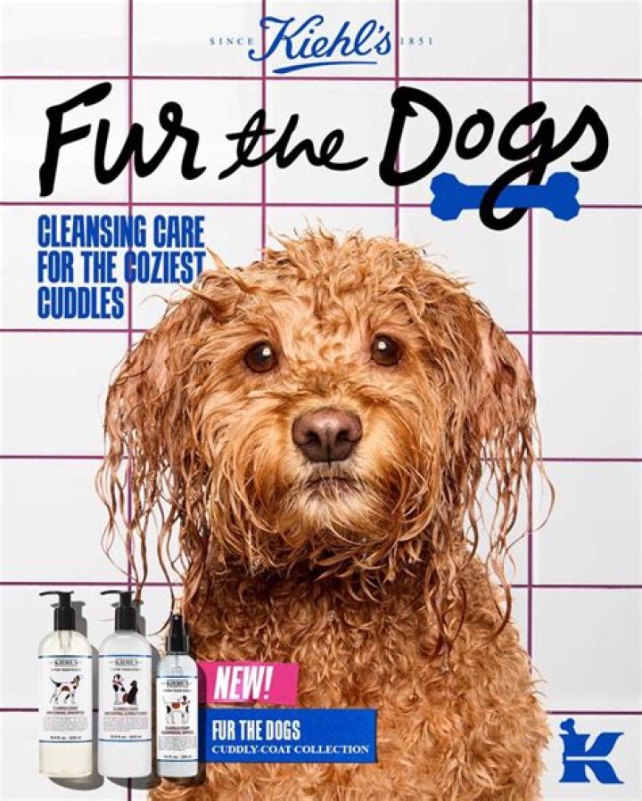 Herbie said&nbsp;Kiehls Cuddly-Coat Grooming Rinse (pictured) left Herbie's fur soft